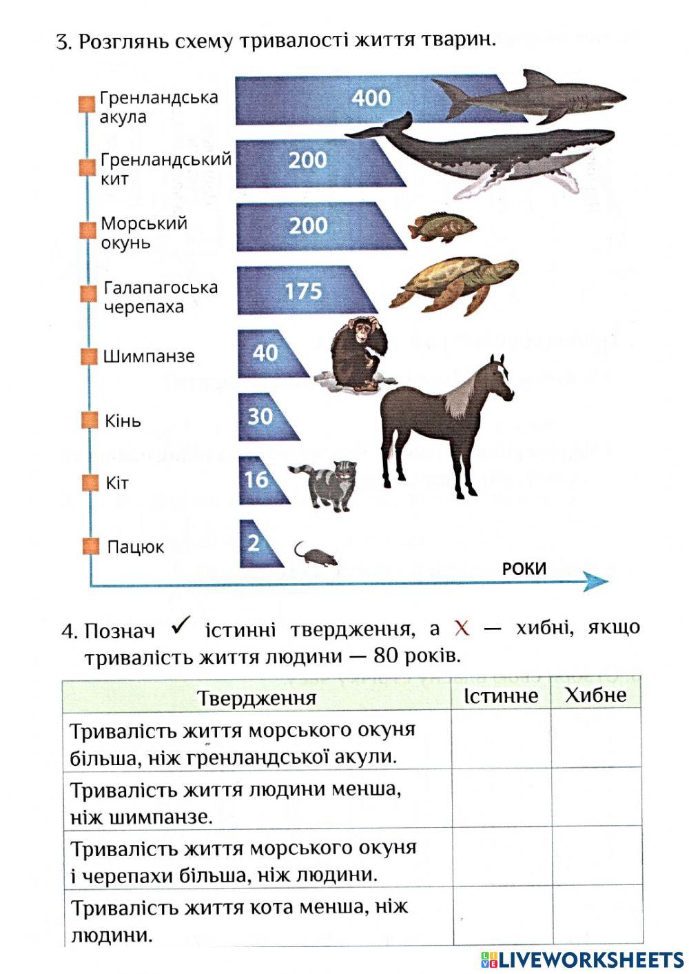 Діагностувальна 1