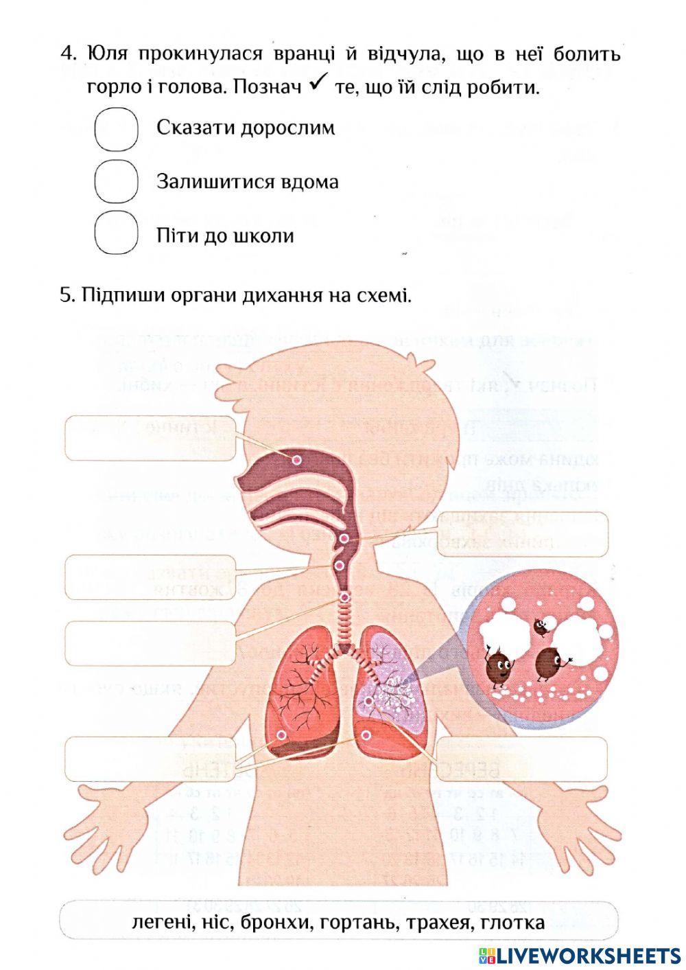 Діагностувальна робота 2 ЯДС