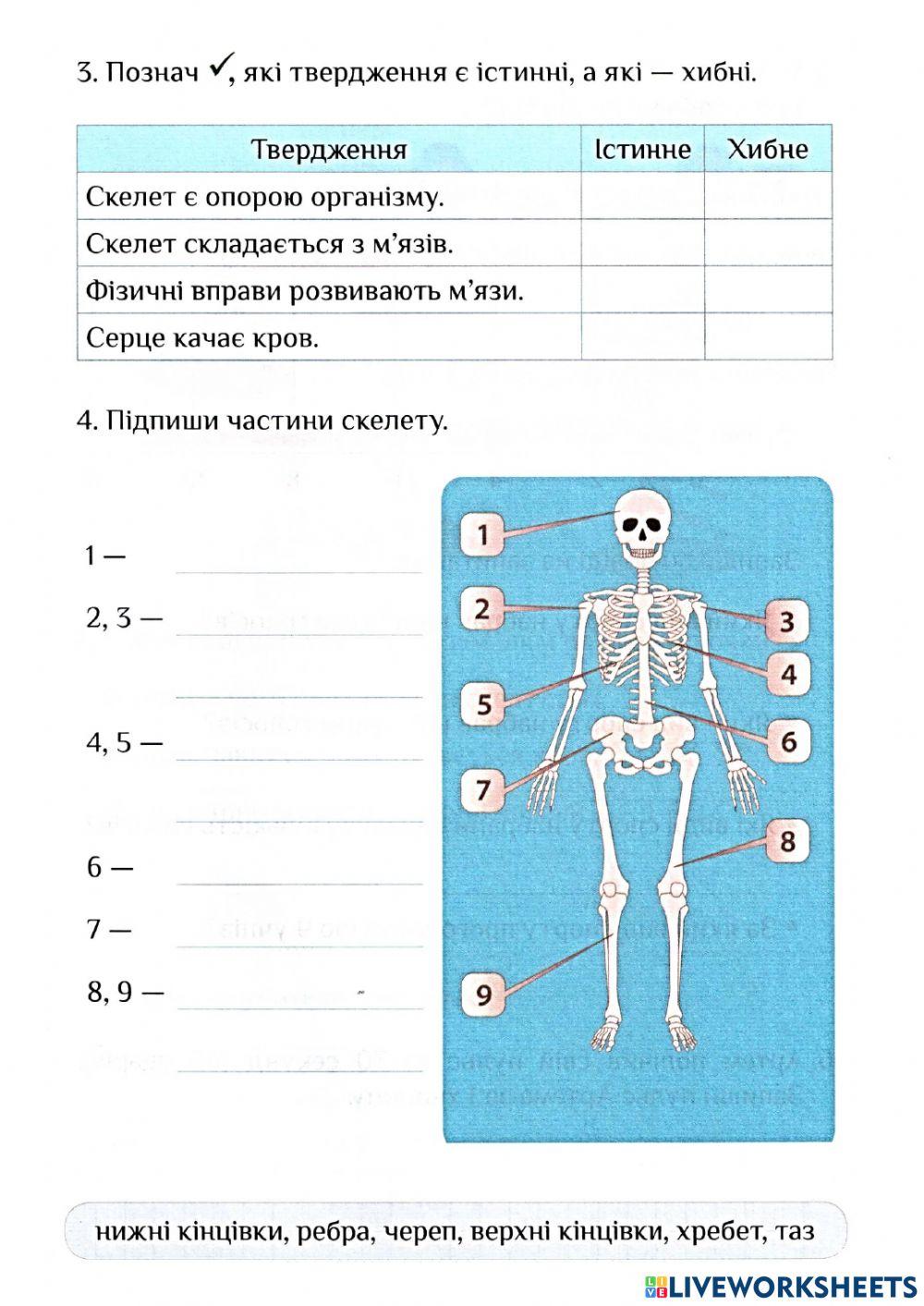 Діагностувальна робота 2 ЯДС