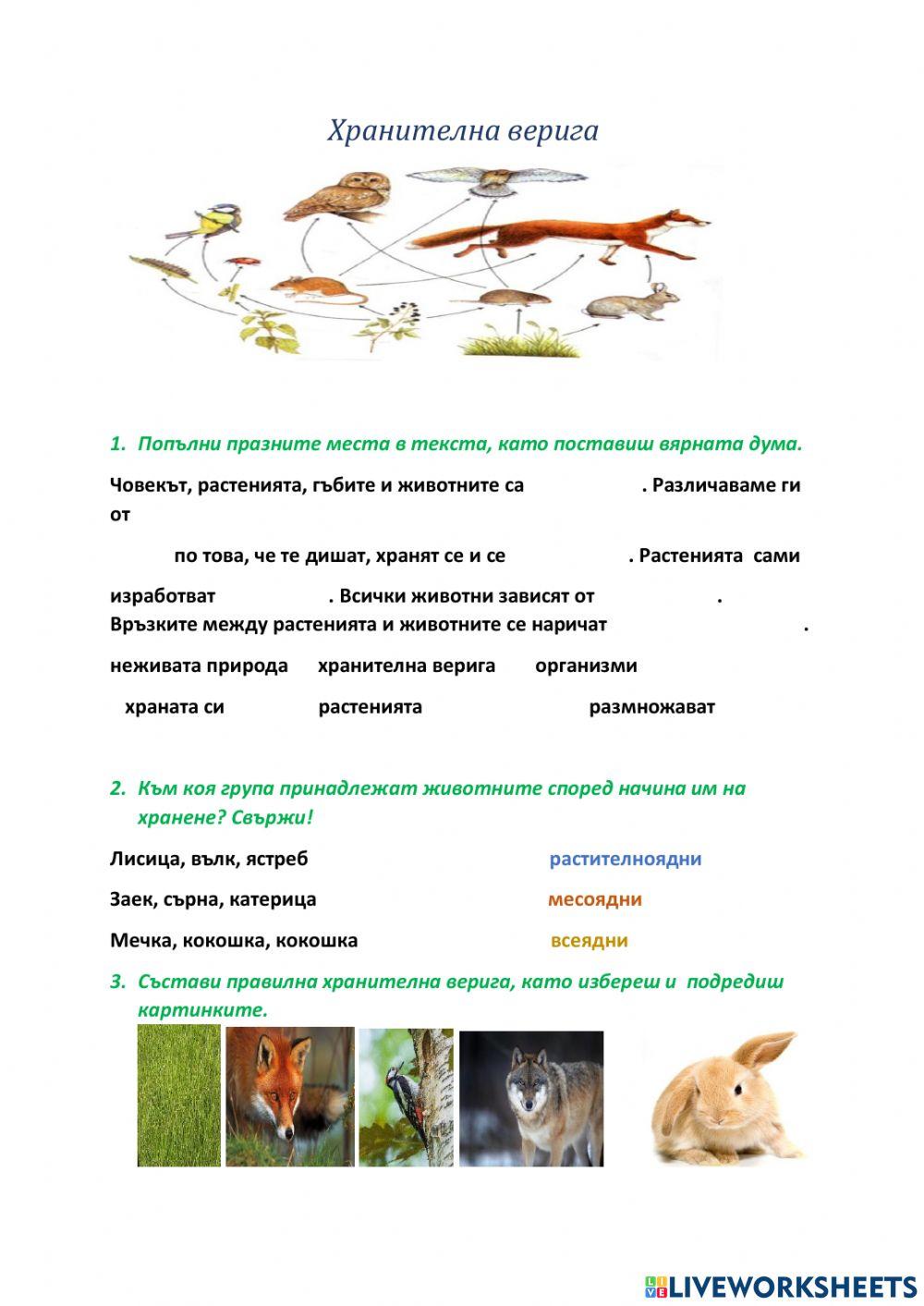 Хранителни вериги online activity | Live Worksheets