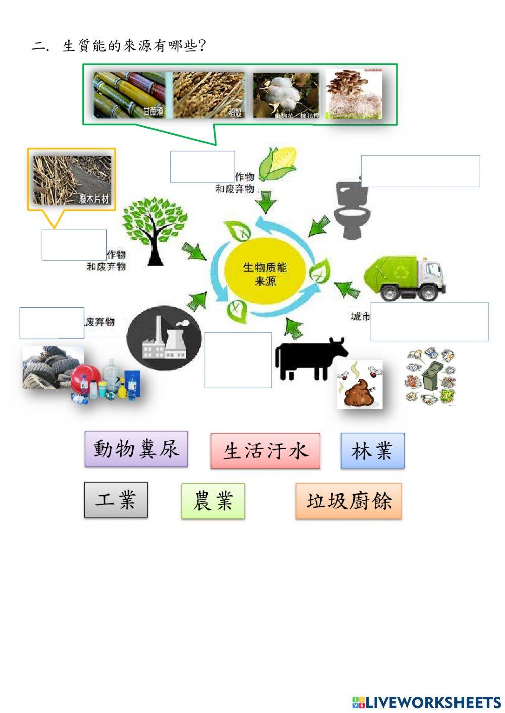 再生能源-生質酒精