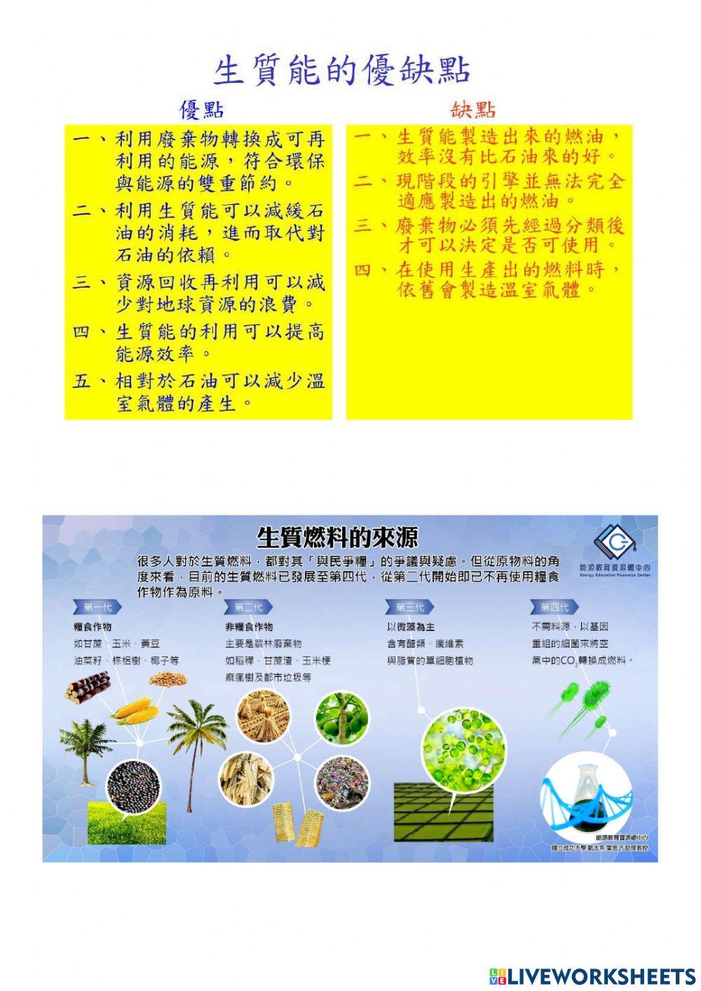 再生能源-生質酒精