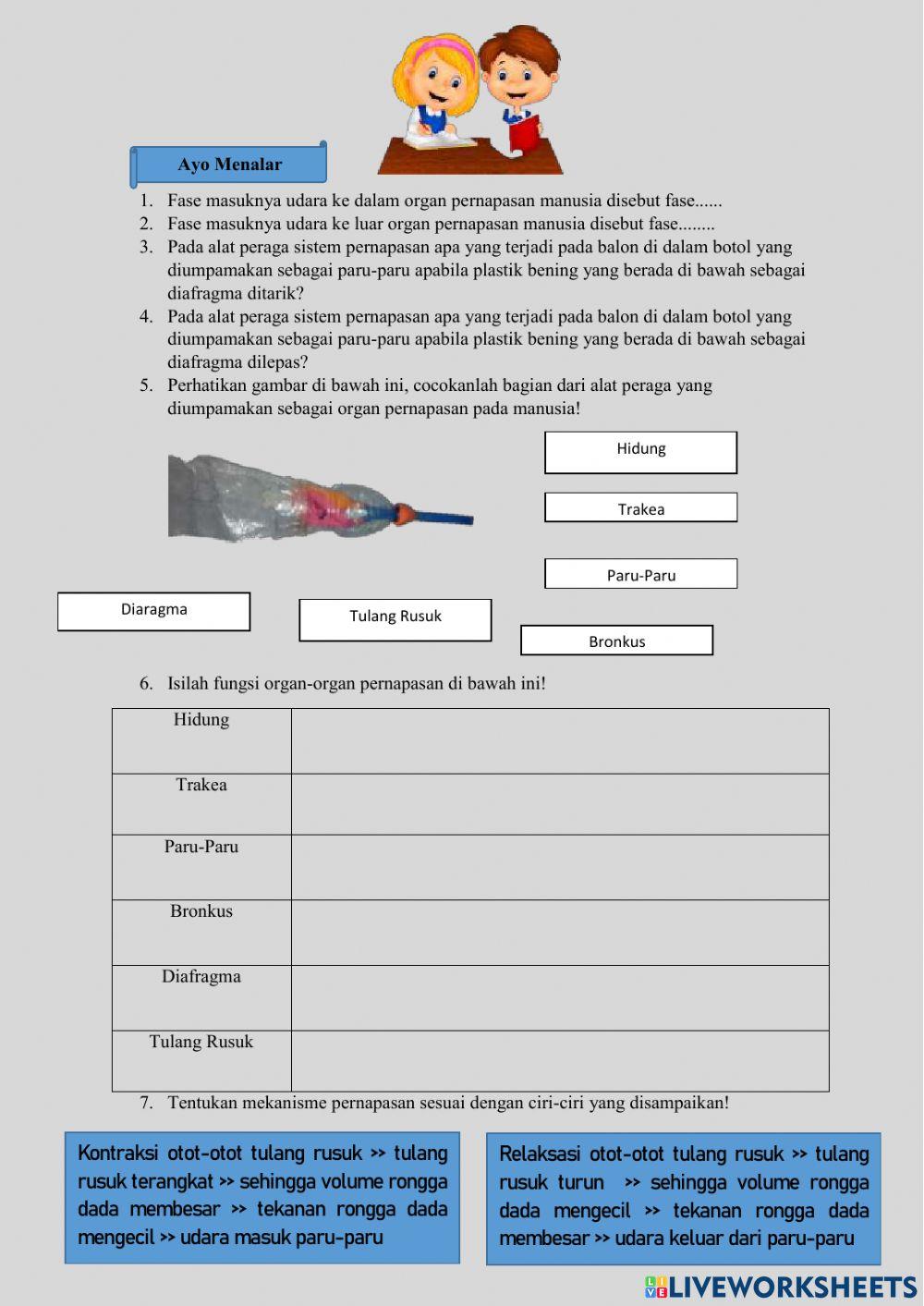 Praktik Mekanisme Pernapasan Manusia Menggunakan Otot