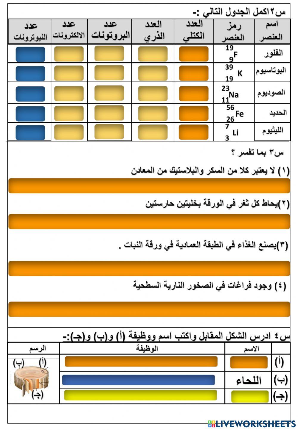 مراجعة عامة3