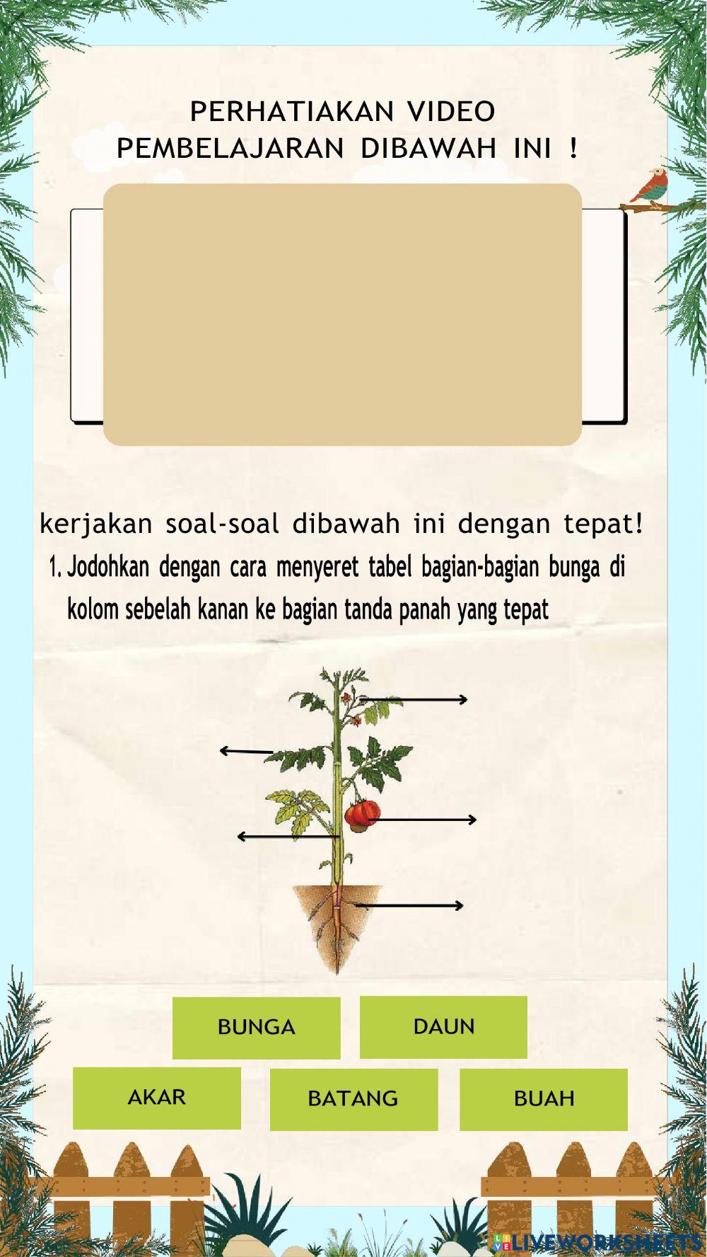 LKPD kelas 4 (Bagian-bagian tumbuhan dan fungsinya)