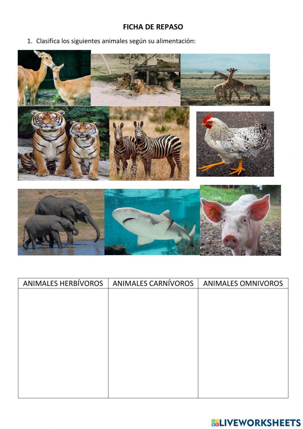 Animales según su alimentación