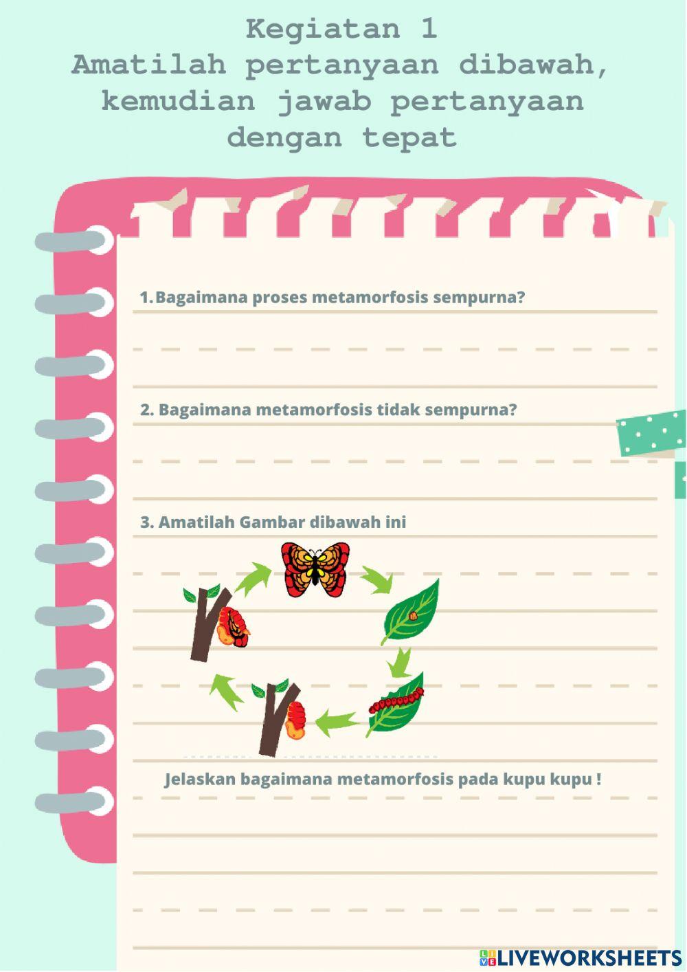LKPD Metamorfosis Pada Hewan