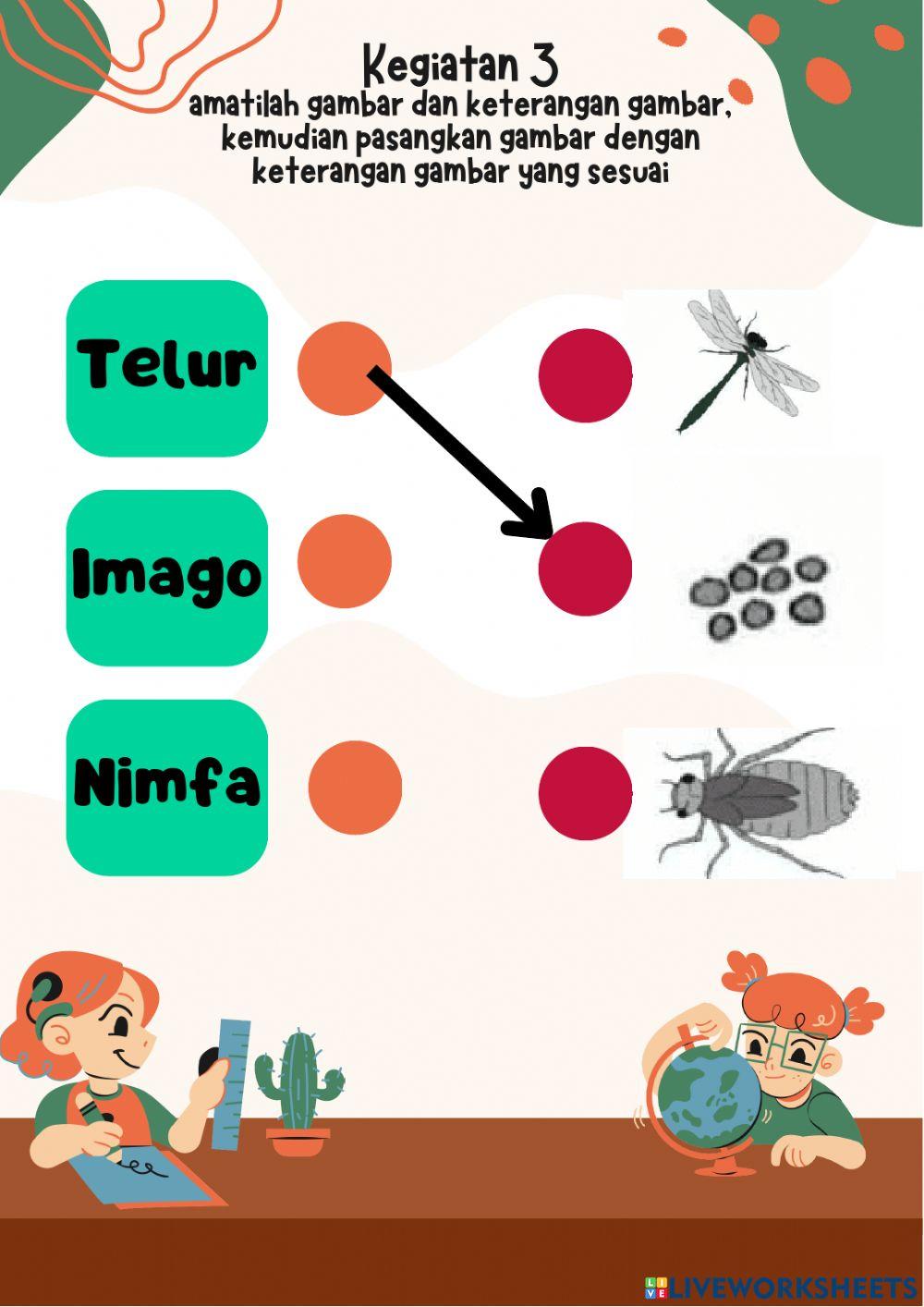 LKPD Metamorfosis Pada Hewan