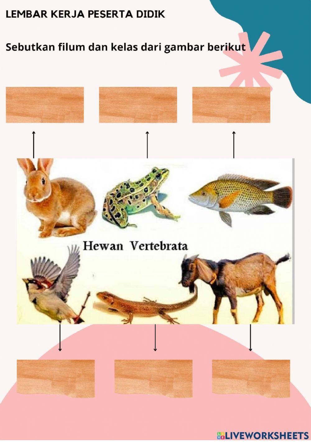 Lkpd vertebrata dan invertebrata