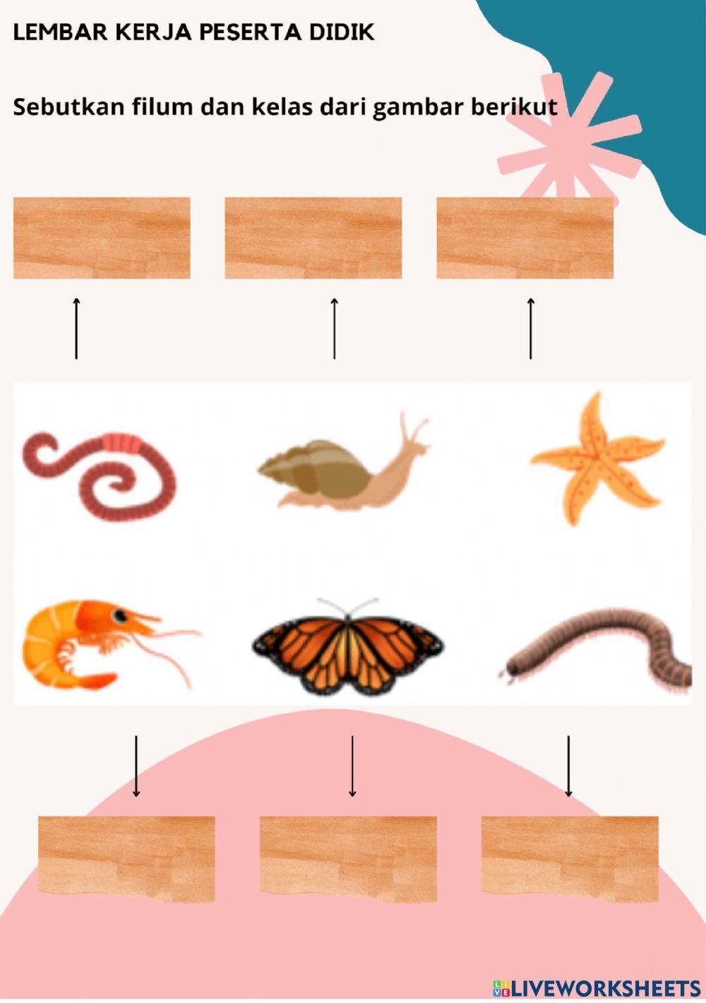 Lkpd vertebrata dan invertebrata