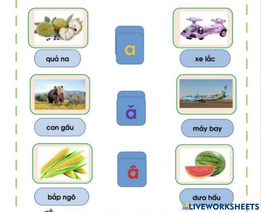 Bé quan sát các từ trong hình ảnh và xem các từ nào có chứa các chữ cái a , ă, â thì nối vào chữ cái a, ă, â vào giữa cho đúng nhé: