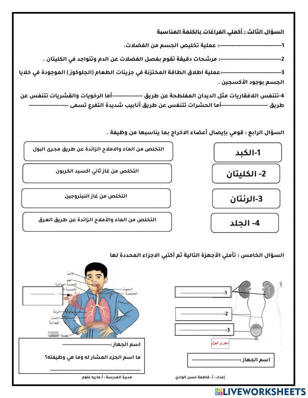 الهضم والاخراج والتنفس والدوران
