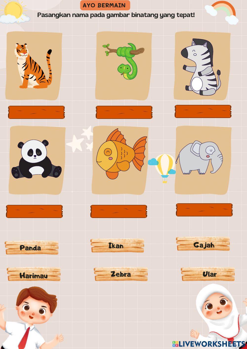 Drag drop nama hewan