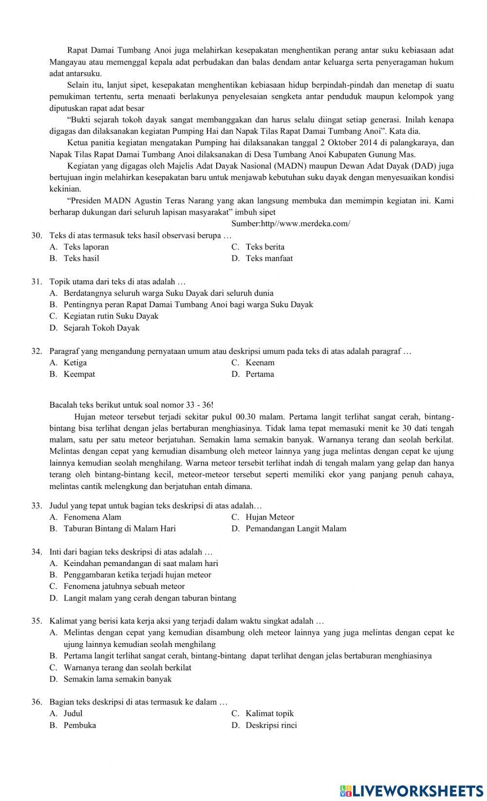 Sas bahasa indonesia