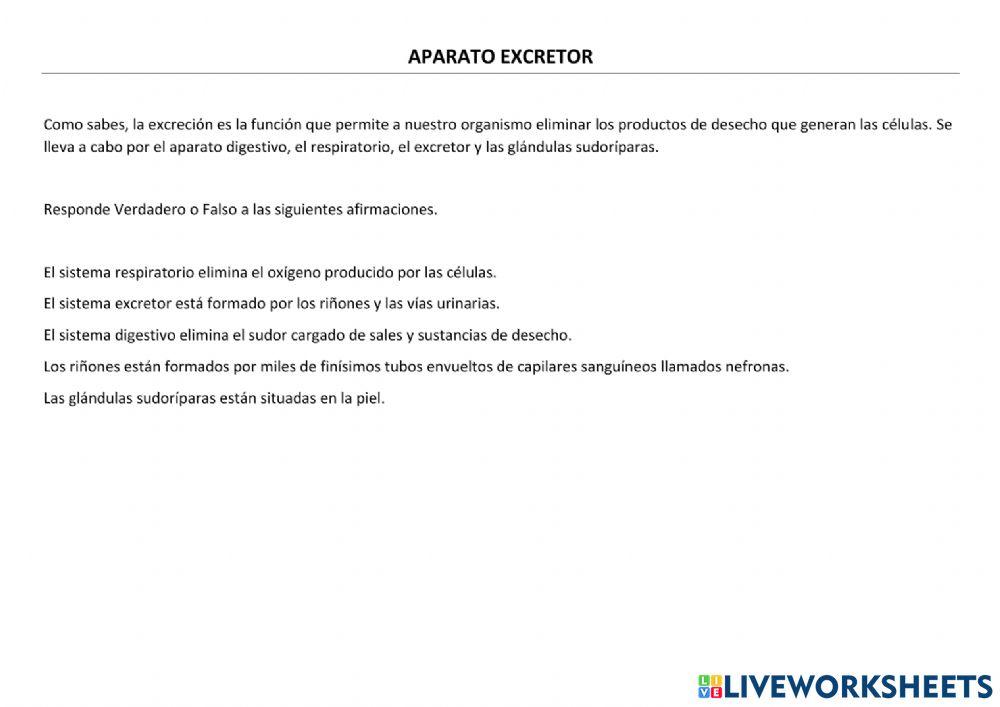 Aparatos del Cuerpo Humano