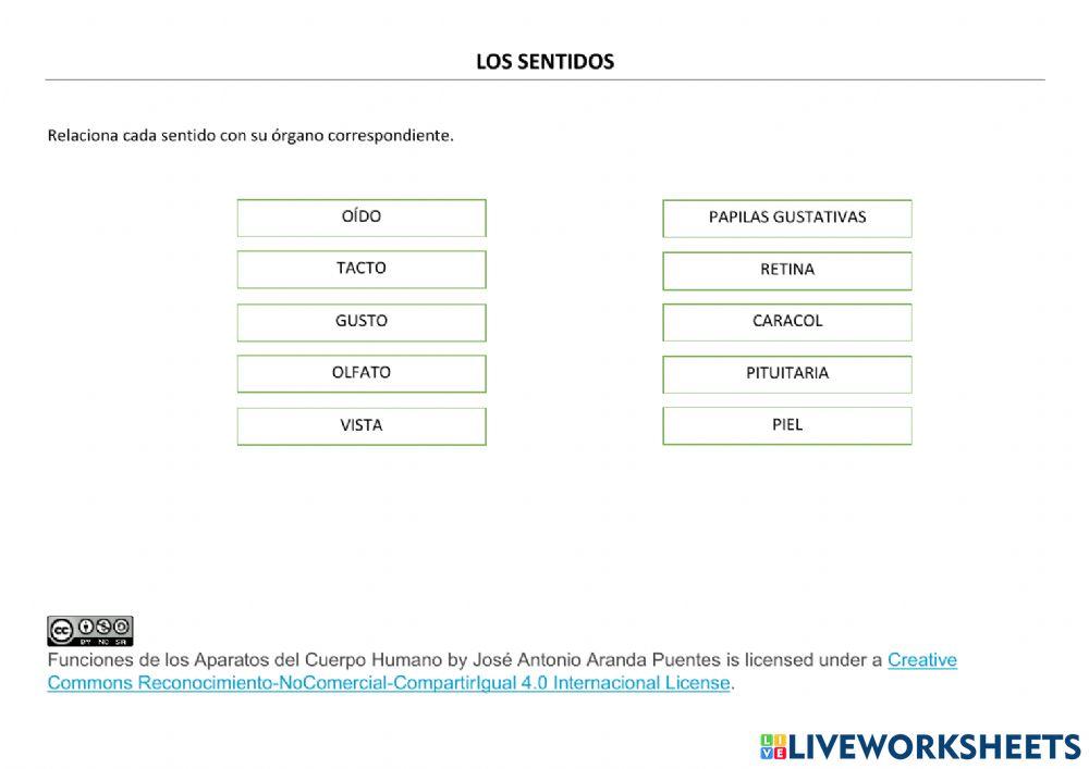 Aparatos del Cuerpo Humano