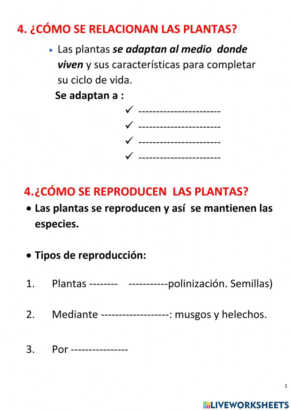 Las plantas 3