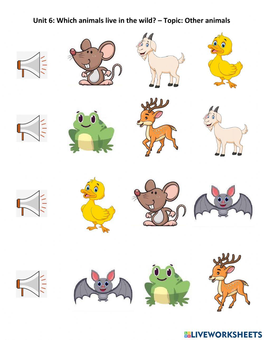 Unit 6: Which animals live in the wild? – Topic: Other animals