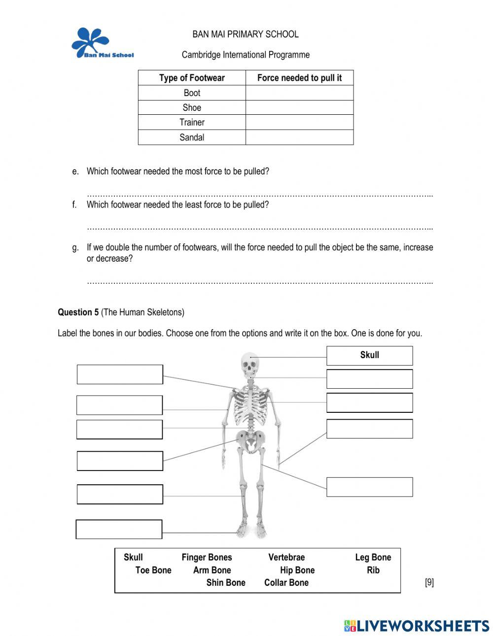 Revision final term i grade 3