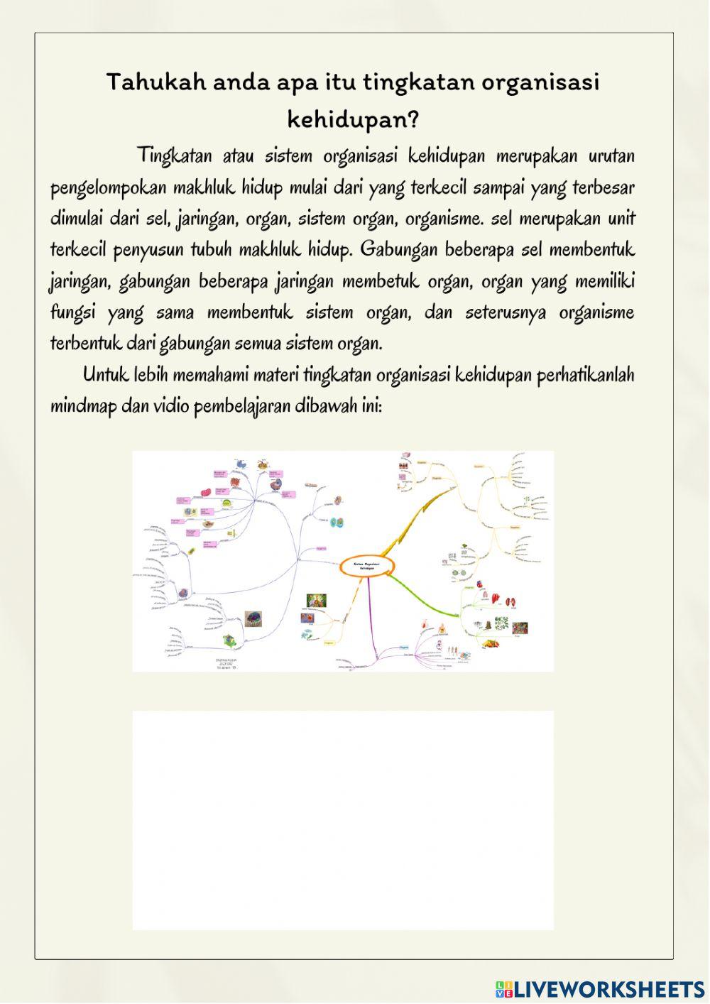 Sistem organisasi kehidupan