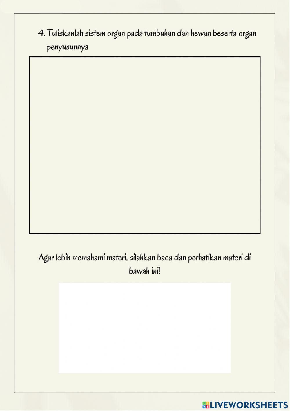 Sistem organisasi kehidupan