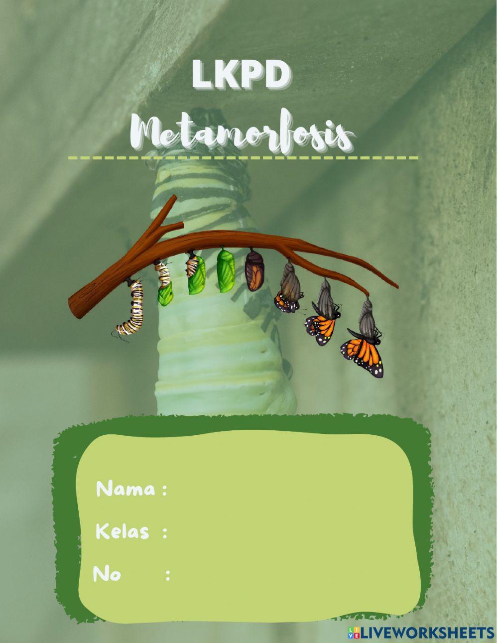 E-LKPD Metamorfosis