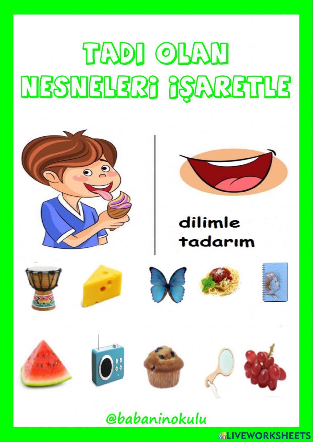 9 -13 OCAK GENEL TEKRAR CUMARTESİ