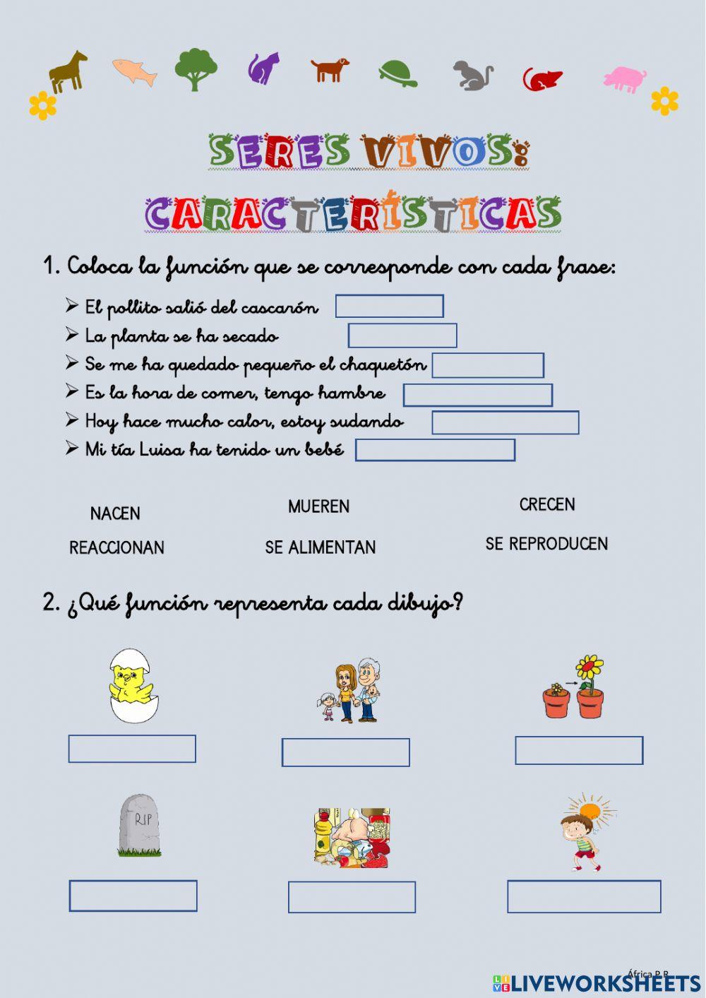 Seres vivos: características