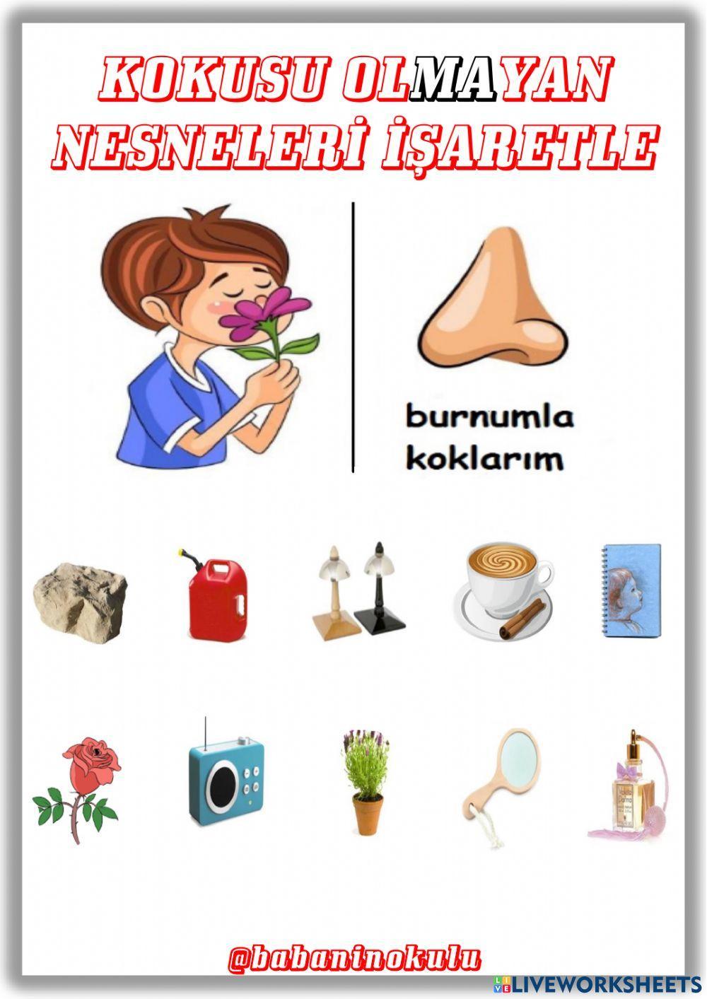 16 - 20 OCAK GENEL TEKRAR CUMARTESİ