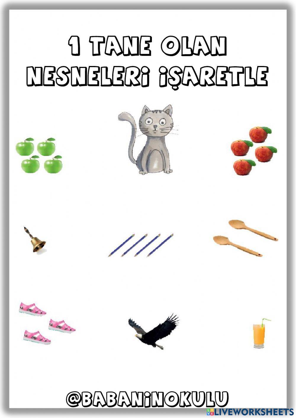 NELER ÖĞRENDİK? - TEKRAR EDİYORUZ - PAZARTESİ (23.01.2022) NELER ÖĞRENDİK? - TEKRAR EDİYORUZ - PAZARTESİ (23.01.2022)