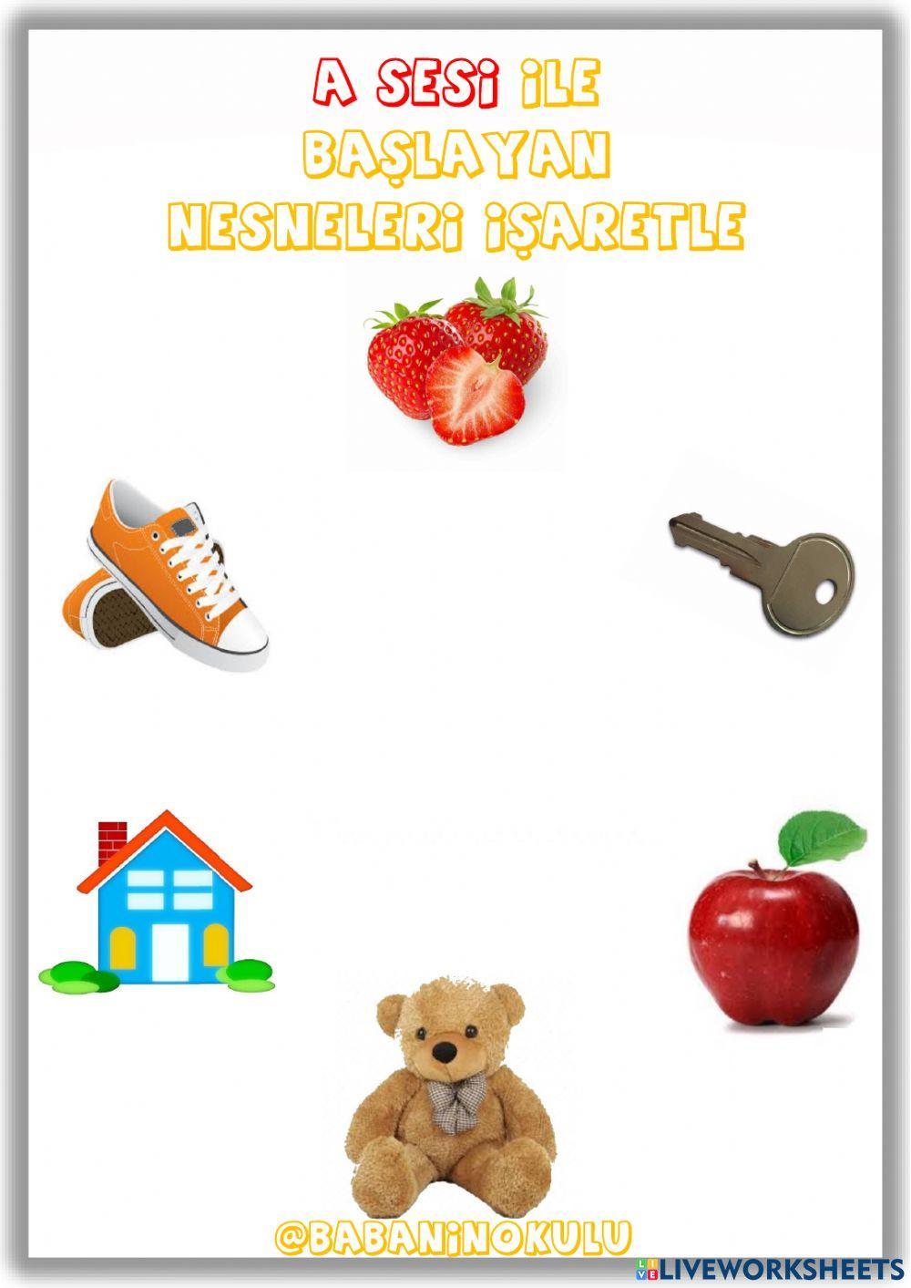 NELER ÖĞRENDİK? - TEKRAR EDİYORUZ - PERŞEMBE (26.01.2023)