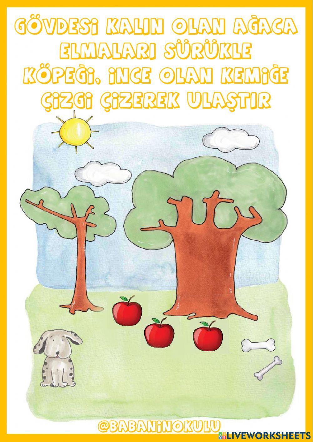 NELER ÖĞRENDİK? - TEKRAR EDİYORUZ - CUMA (27.01.2023)