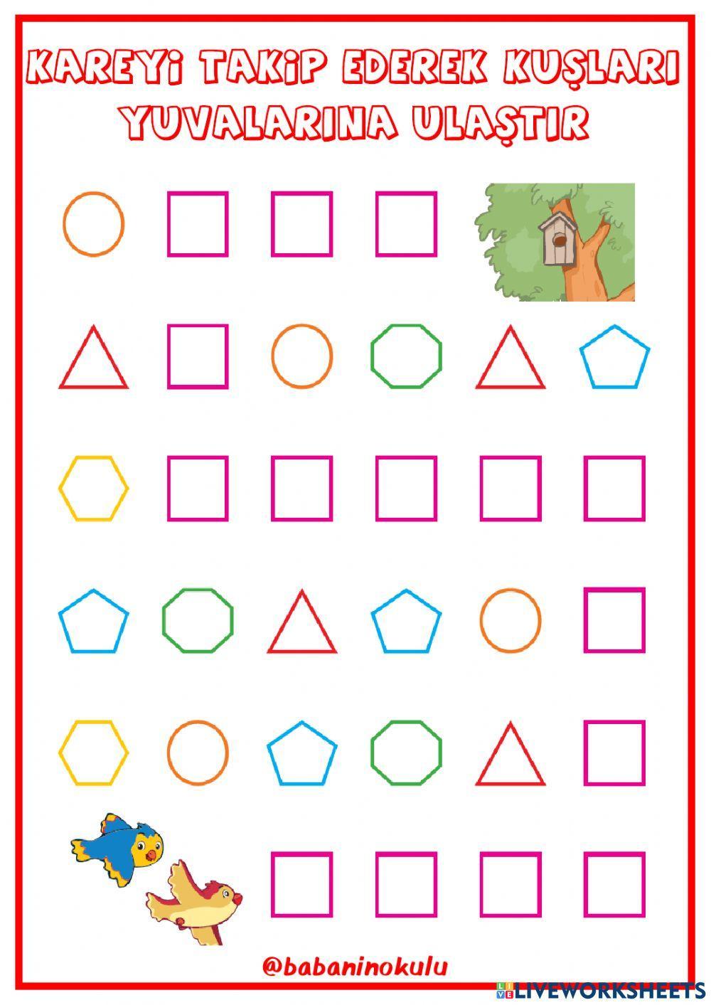 NELER ÖĞRENDİK? - TEKRAR EDİYORUZ - PAZAR (29.01.2023)