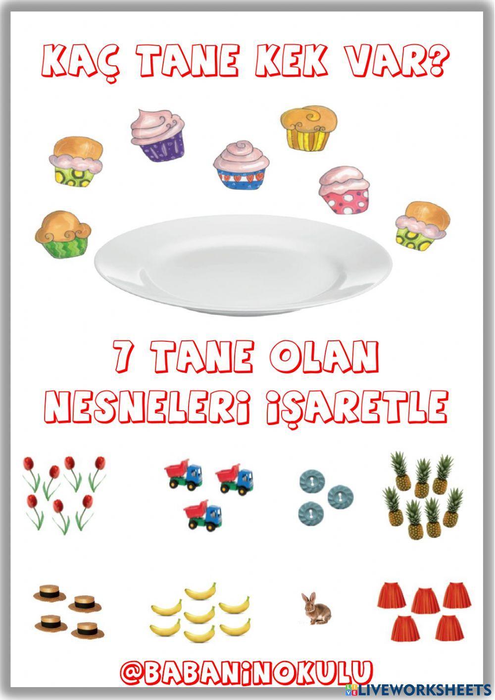 NELER ÖĞRENDİK? - TEKRAR EDİYORUZ - PAZAR (29.01.2023)