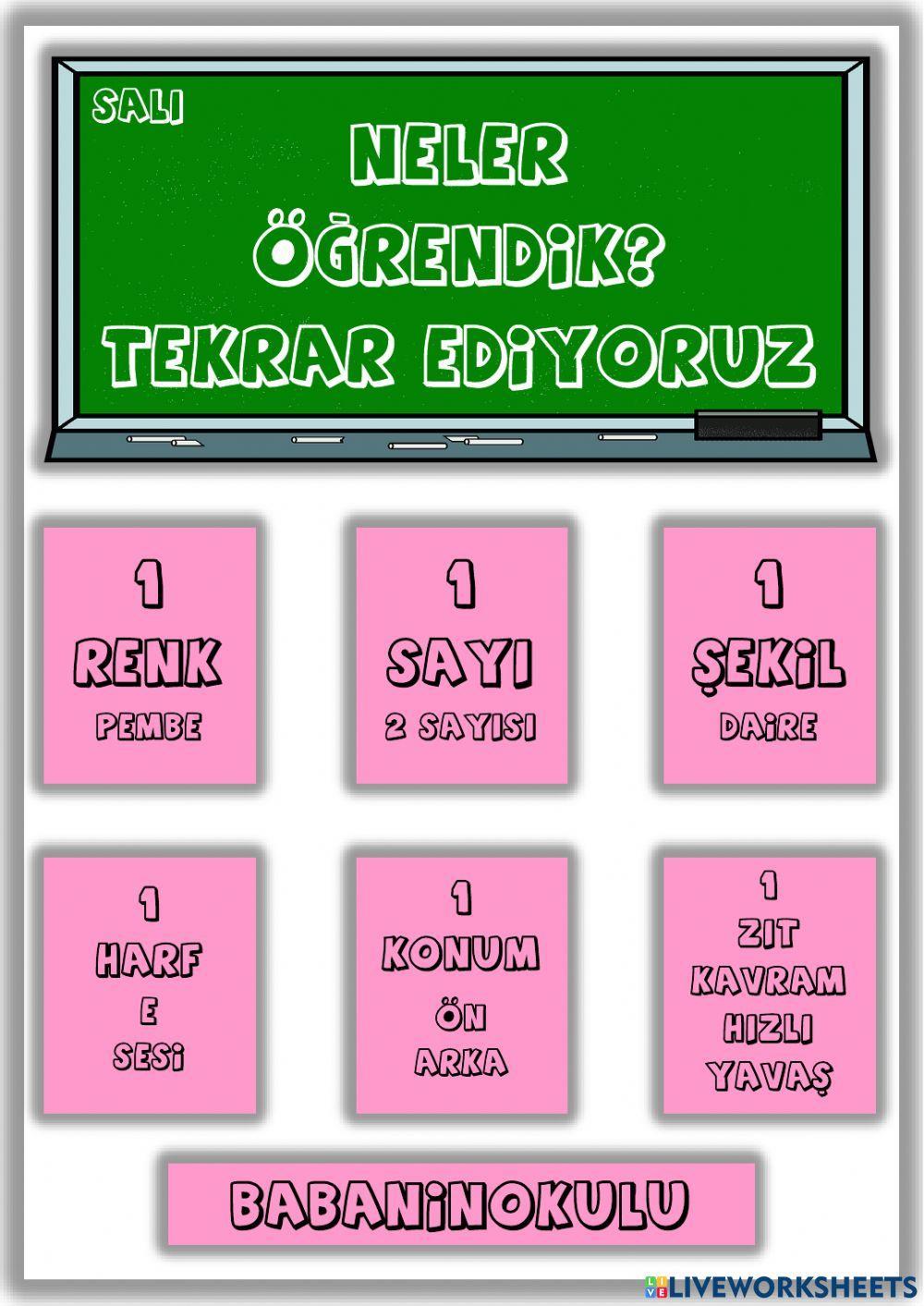NELER ÖĞRENDİK? - TEKRAR EDİYORUZ - SALI (31.01.2023)