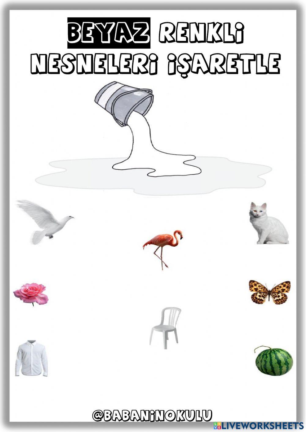 NELER ÖĞRENDİK? - TEKRAR EDİYORUZ - ÇARŞAMBA (01.02.2023)