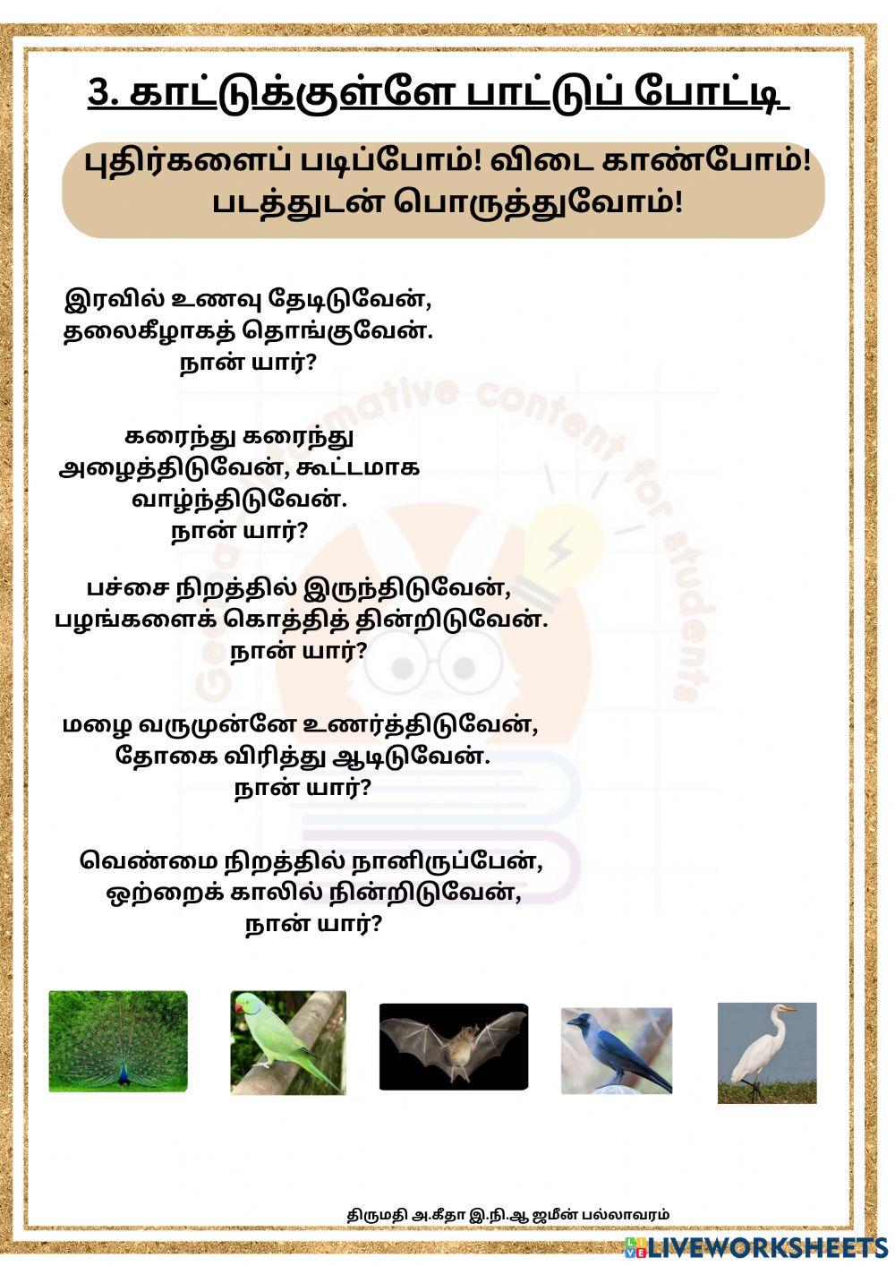 Kattukulle paattu potti