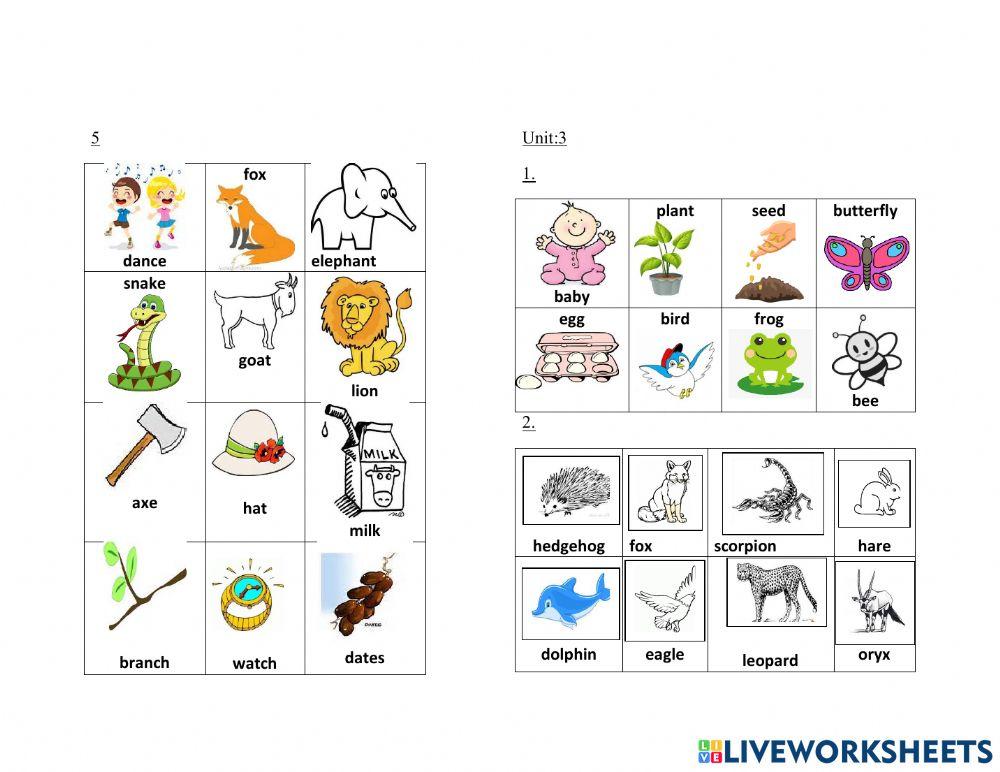 pictionary online exercise for | Live Worksheets