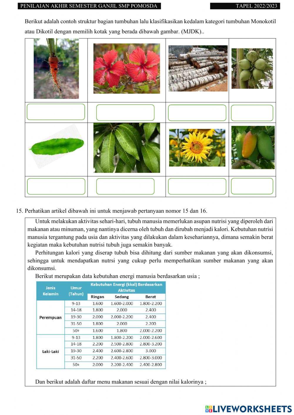 Pas ganjil ipa kelas 8