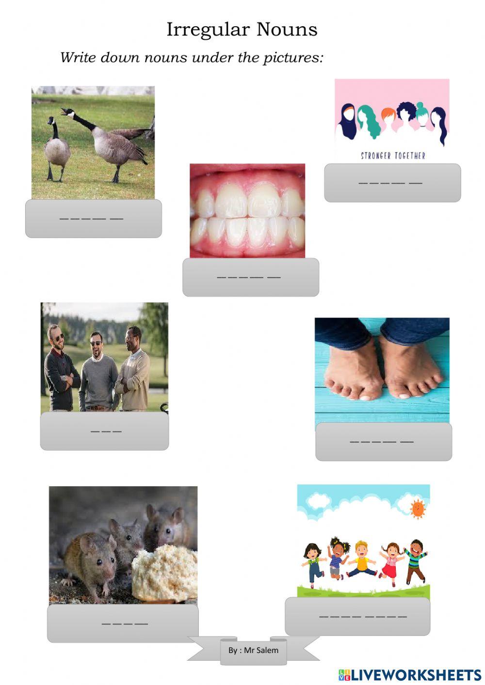 Irregular plural nouns