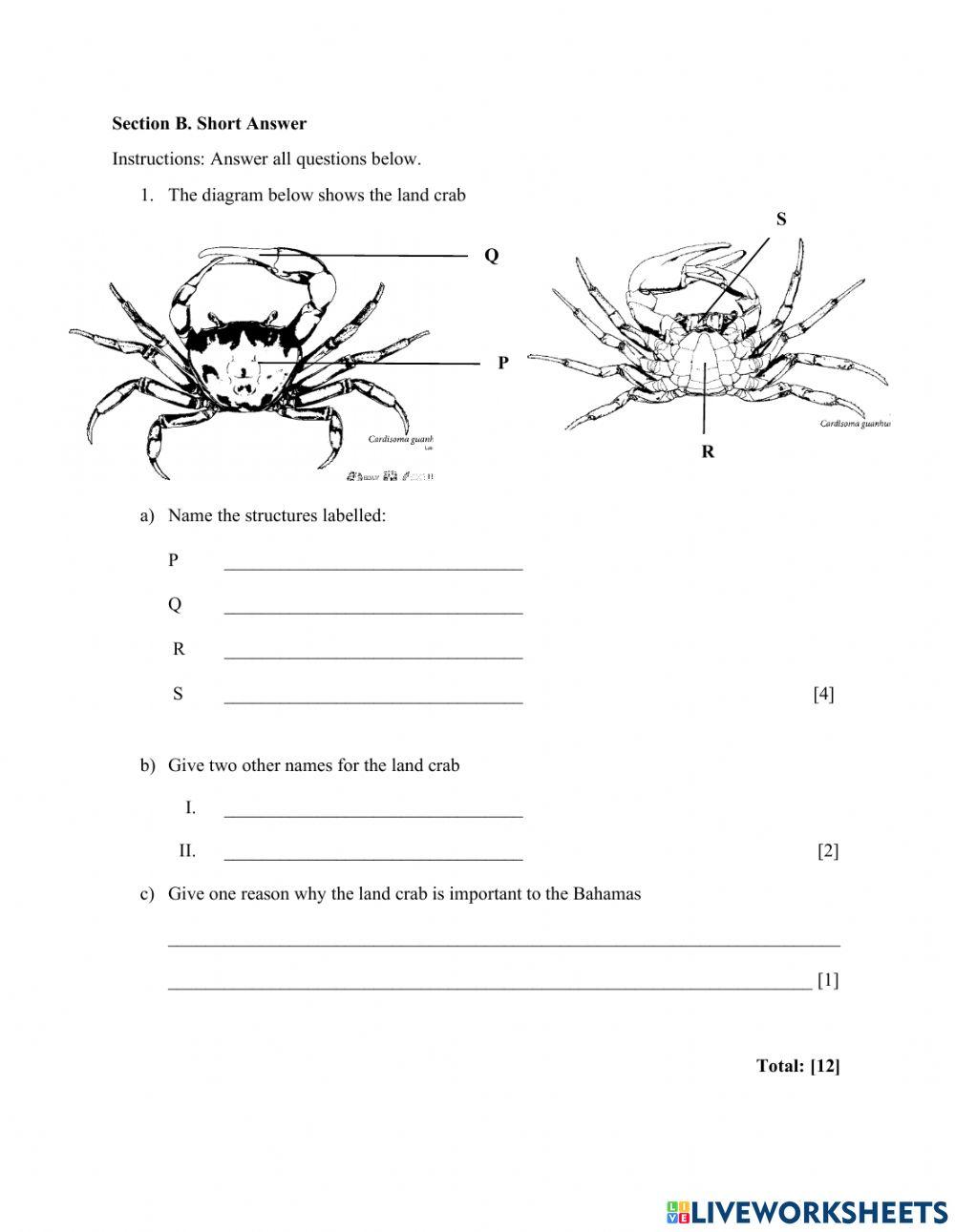 The Land Crab Review