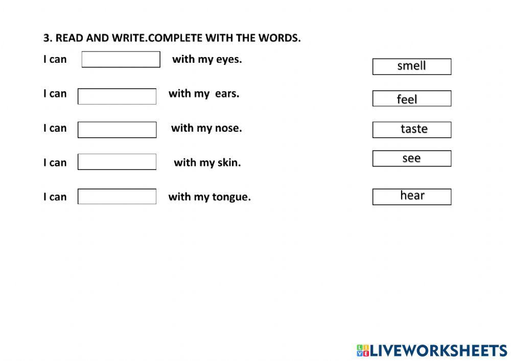 The five senses and their organs