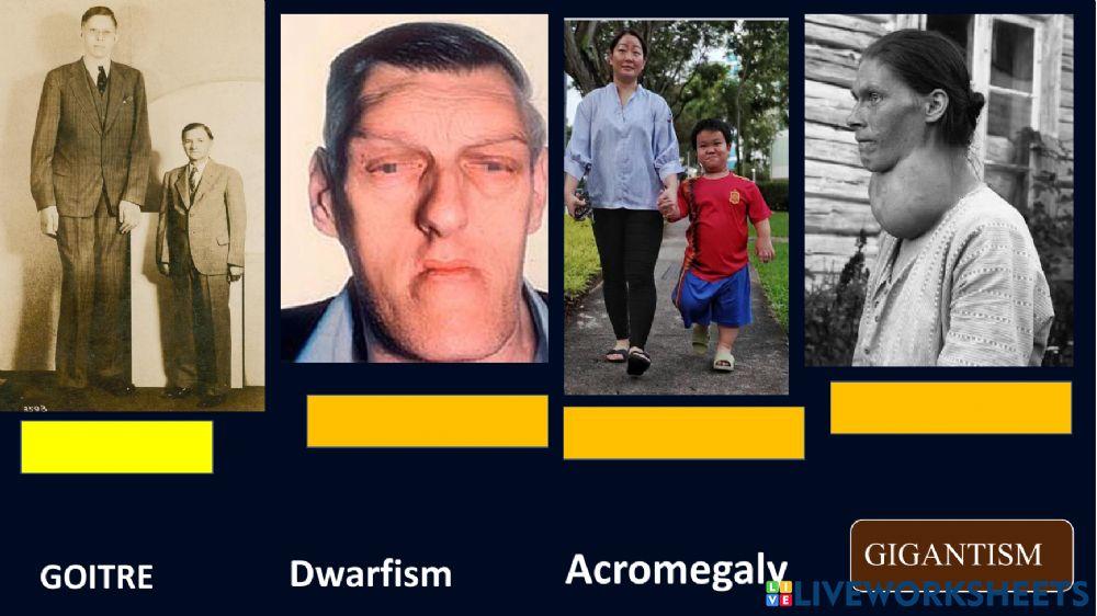 Chemical Coordination