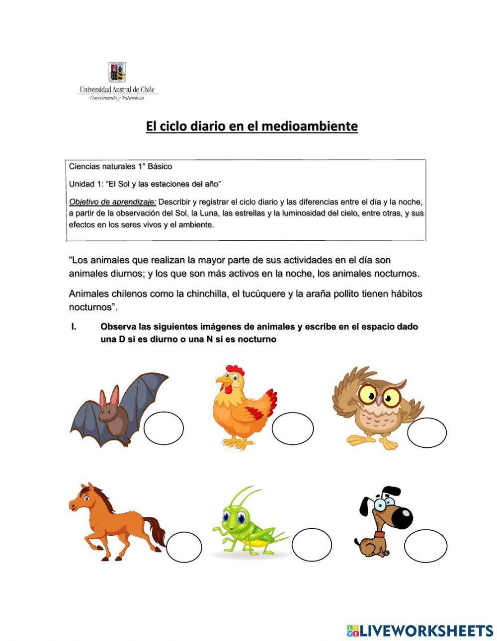 Los efectos del día y la noche en los seres vivos