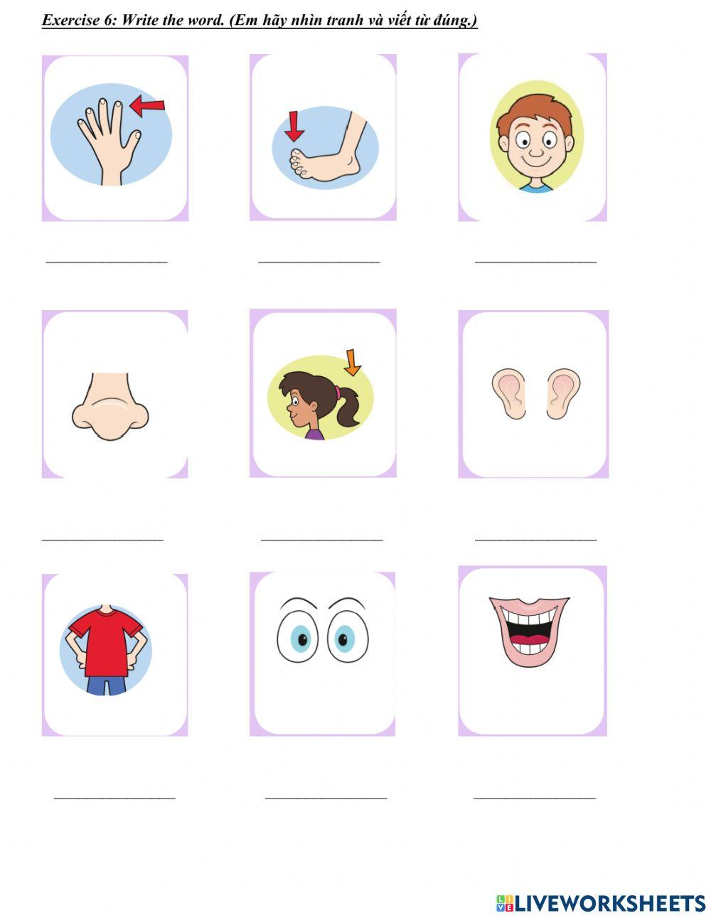 Week 14 grade 2 u5 shape and adj