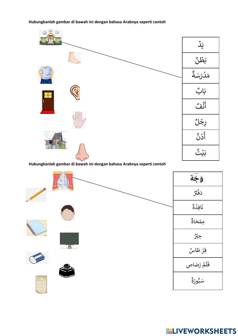 P1 Arabic Evaluation