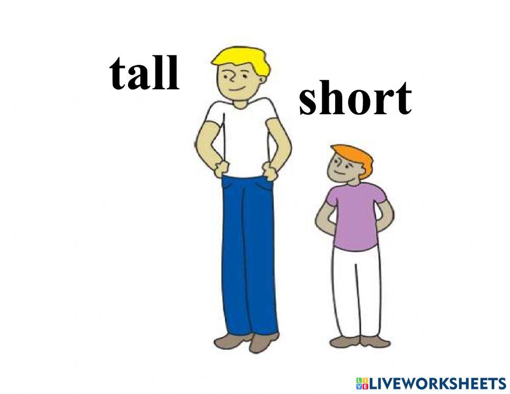 Adjectives for grade 1,2