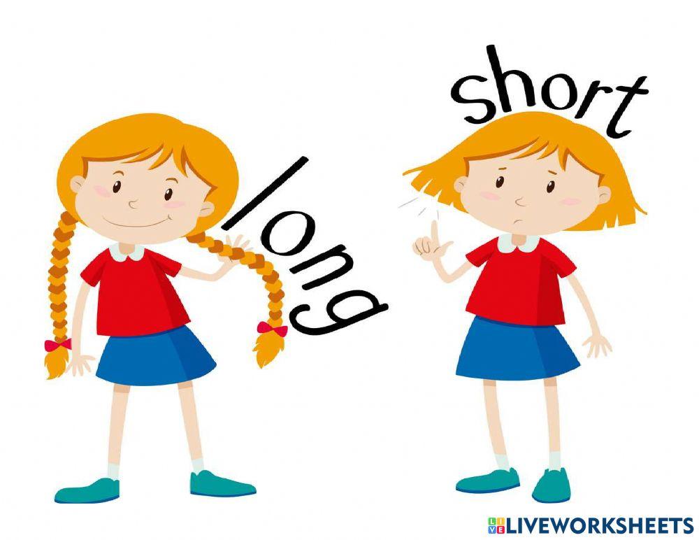 Adjectives for grade 1,2