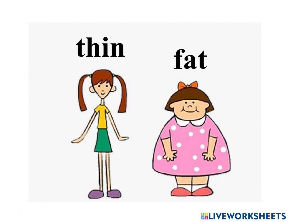 Adjectives for grade 1,2