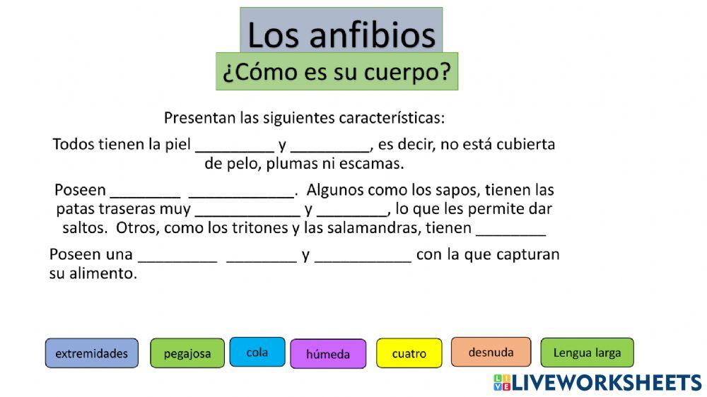 Los anfibios